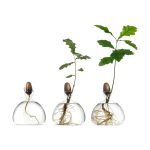 Acorn Vase - Clear