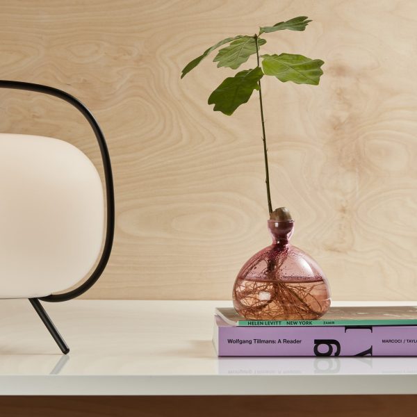 Acorn Vase - Clear