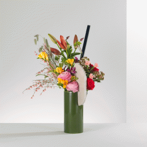 2d79ea0b-4565-4db7-9fbd-72604c013ea8.gif