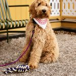 HAY Rope Toy for Dogs in Recycled Polyester - Red/ Turquoise