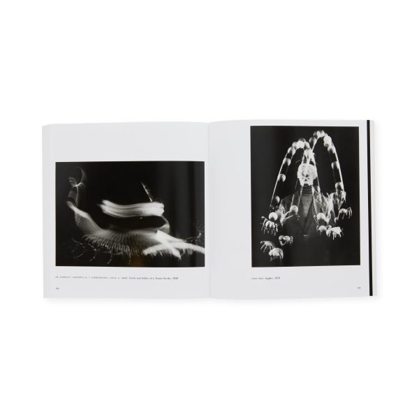 The Photographer's Eye - Paperback