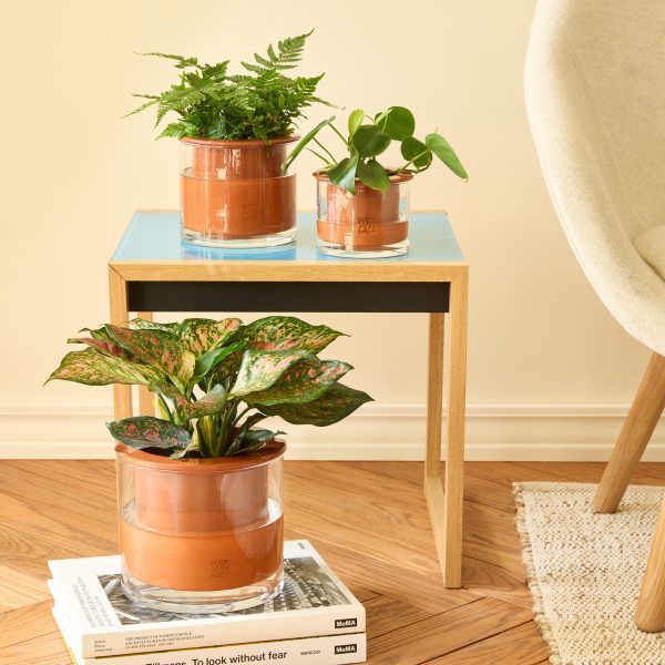 Self-Watering Wet Pots - Medium