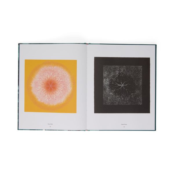 Ruth Asawa: The Tamarind Prints - Hardcover Book