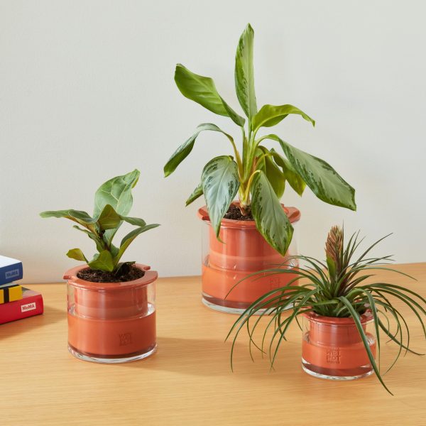 Self-Watering Wet Pots - Medium