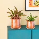 Self-Watering Wet Pots - Medium