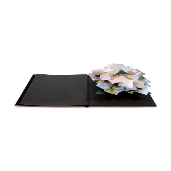 Peter Coffin: Untitled (Spiral Pop-Up Photo Album)