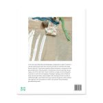 Rauschenberg: Canyon. One on One Series - Paperback