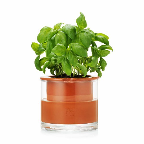 Self-Watering Wet Pots - Small