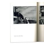 New Horizons in American Art - Hardcover