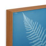 Anna Atkins Pteris Aquilina Framed Print