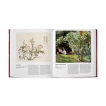 The Rose Book - Hardcover