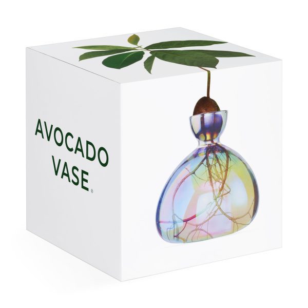 Avocado Vase - Iridescent